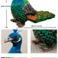 Xshelley 9.8inch Realistic Peacock Plush Toy,Cute Peacock Stuffed Animal Doll Peacock Plush Birthday Gift Home Decoration
