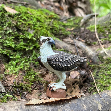 Safari Ltd. Osprey Figure - Realistic 2.75" Bird Figurine - Educational Toy for Boys, Girls, and Kids Ages 3+