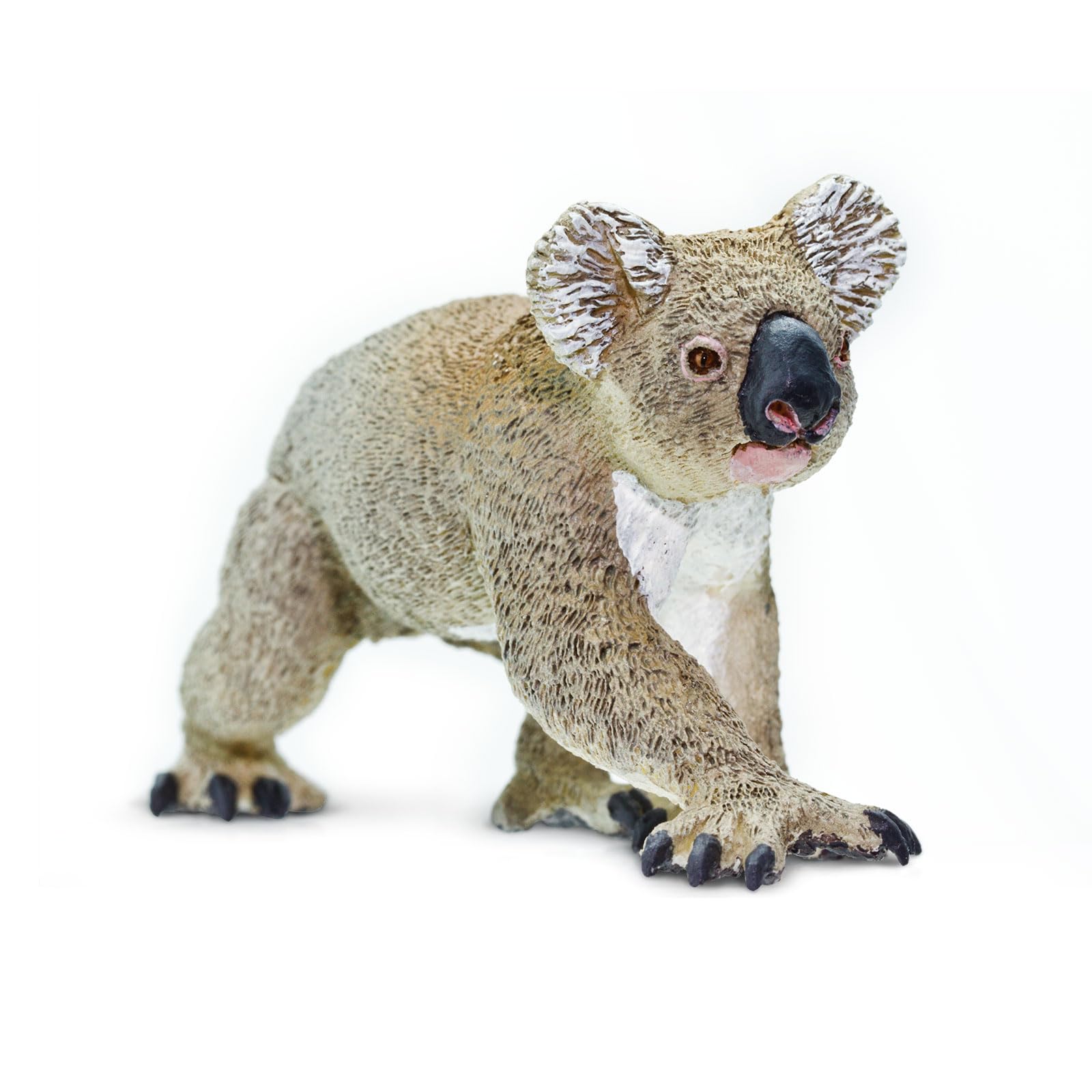 Safari Ltd. Koala Figurine - Hand-Painted, Lifelike 1.75" Model Figure - Fun Educational Toy for Boys, Girls & Kids Ages 3+