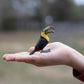 Safari Ltd. Toucan Figurine - Lifelike 2.75" Bird Figure - Educational Toy for Boys, Girls, and Kids Ages 3+