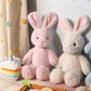 MR ViviCare 14" Adorable Grey Bunny Stuffed Animals for Kids and New Born Babies,Lovely Stuffed Rabbit Plush Toys for Boys and Girls,Great Gifts on