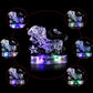 Graces Dawn® Crystal Twelve Constellations Deluxe 3D Puzzle Colorful Crystal Decoration (Leo)