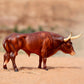 Breyer Horses Traditional Series |Texas Longhorn Bull | Breyer Animals | Horse Figurine | 11.5" L X 8.5" H | Model #B-TR-10329