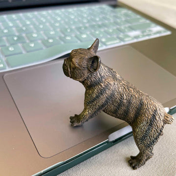 Safari Ltd. French Bulldog Figurine - Lifelike 3" Model Figure - Educational Toy for Boys, Girls, and Kids Ages 3+