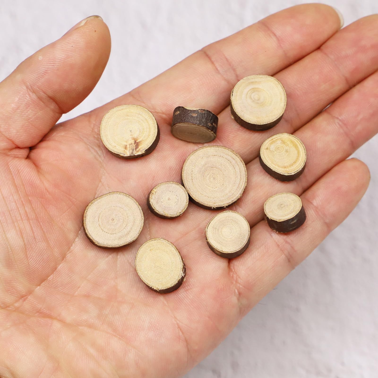 Aorvoras Miniature Wooden Stepping Stones, 10PCS, Natural Real Wood Slices, Brown, Rustic/Natural, 1:12 Scale, For Miniature Fairy Garden, Gnome