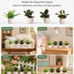 4 Pcs Doll House Plants, Miniature Potted Plants for Dollhouse Decor, Realistic Mini Plants Dollhouse Accessories for Living Room, Bedroom, Garden