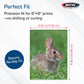 BCW 6x8 Photo Sleeves - 100 Pack | Archival Photo Sleeves for Art, Postcards & Photos | Acid-Free, No PVC | Archival Quality for Storage & Display