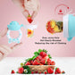 Baby Fruit Food Feeder Pacifier - Fresh Teething Pacifiers, Infant Fruit Teething Teether Toy for 3-24 Months, 6 Pcs Silicone Pouches for Toddlers