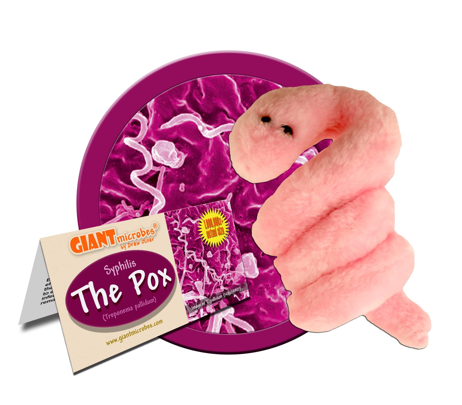 GIANT MICROBES Pox Plush, STIs, STDs, Medical Gifts, OBGYN Gifts for Doctors, Infection Prevention Gift, Infection Control Nurse, Medical Lab