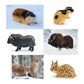 20PCS Arctic Polar Toy Set and Snow Tree Arctic Animals Toys with Igloo,Caribou,Penguin,Walrus Figurines for Cake Toppers Birthday Gifts Preschool