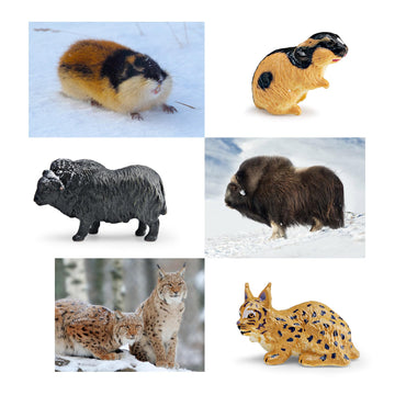 20PCS Arctic Polar Toy Set and Snow Tree Arctic Animals Toys with Igloo,Caribou,Penguin,Walrus Figurines for Cake Toppers Birthday Gifts Preschool