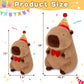 Achwishap Capybara Plush,Happy Birthday Capybara Stuffed Animal,Cute Plushies Capybaras Plush Toys,Kawaii Plushie Stuffed Toy with Birthday Hat