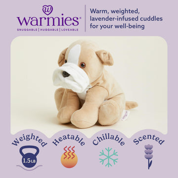 warmies Microwavable & Weighted Stuffed Animal, Bull Dog - Heating Pad Plushie - Weighted Plush Stress Relief Toy - Cute Stuffed Animals Gift -