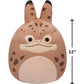 Squishmallows Original 12in Star Wars Loth-Cat Plush (Medium-Sized)
