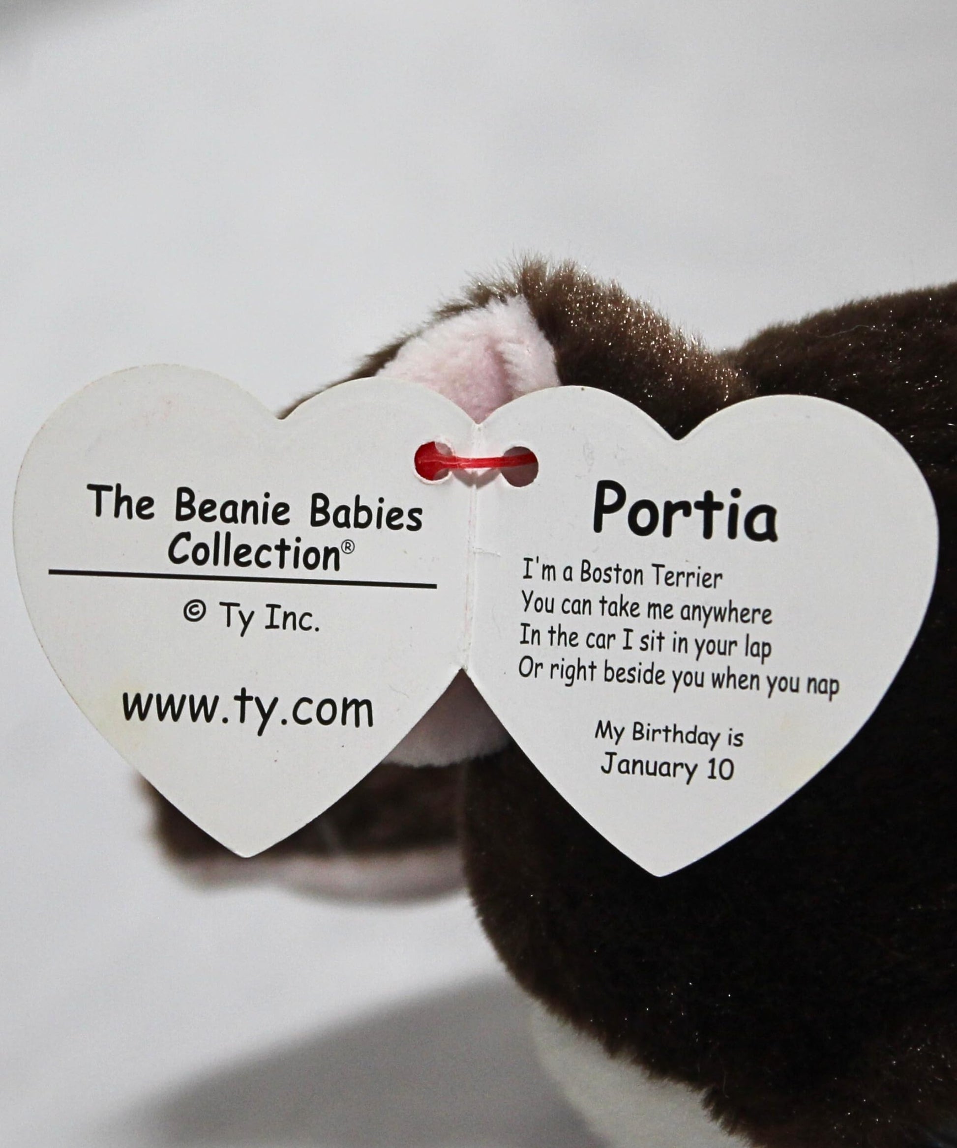 TY Portia Terrier - Beanie Babie Reg