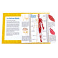 Junior Learning JL647 Anatomy Flips, Multi