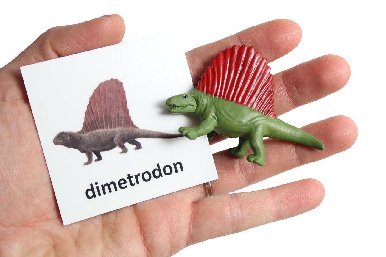 Curious Minds Busy Bags Montessori Dinosaur Figure Animal Match - Miniature Dino Figurines with Matching Cards - 2 Part Cards. Montessori Learning