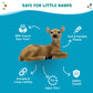 Get Ready Kids Forest Animal Playset - 8 Large Woodland Animal Figures