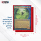 BCW Basics Card Sleeves | 500 Count Box | Acid-Free, Archival Safe | Durable, Cost-Effective Protector for Standard 2.5" x 3.5" Trading and Game Cards