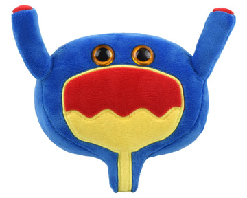 GIANT MICROBES Bladder Plush, Urology Gag Gifts, Bladder Cancer Awareness, Organ Plushies, Prostate Cancer Awareness, Urologist Doctor Gift, UTI