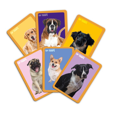 Top Trumps Match Game Dogs - Family Board Games for Kids and Adults - Matching Game and Memory Game - Fun Two Player Kids Games - Memories
