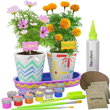 DD Old Paint and Plant kit