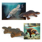 GUFOPONAS 4PCS Platypus Figures Duckbill Figure Jungle Forest Animals Toys Woodland Animal Figurine Model Birthday Gift for Kids Toddlers for Kids
