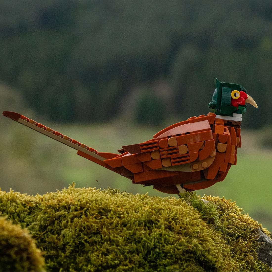 CubiMythx Pheasant Mini Building Blocks and Construction Toy, Collectible Bird-Themed Model to Build and Display, Great Gift for Birthdays, Christmas