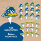 Desert Cactus University of Delaware UD Fightin Blue Hens Food Picks, Cupcake and Cake Toppers, Cake Pop Sticks - 25 Pcs Party Supplies