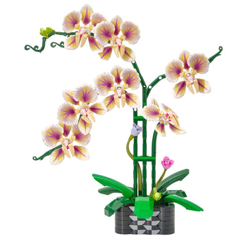 Orchid Flowers Building Block Sets, Compatible with Lego 853792 Accessory, Artificial Plant, Botanical Collection for Home, Kitchen, Desk Decor, Best
