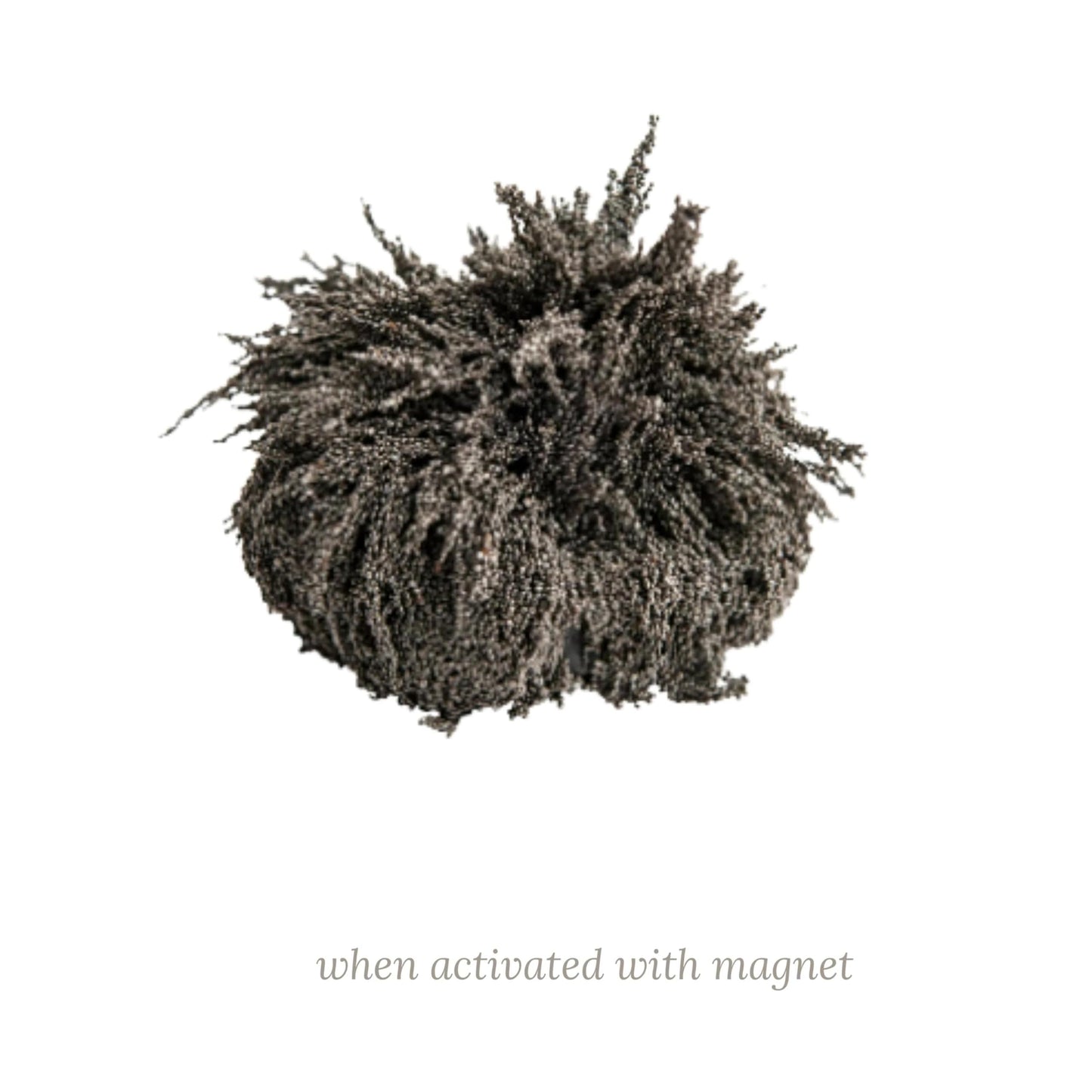 Iron Filings for Magnet Experiments - Magnetic Field Science Learning for Kids, STEM Classroom Supply, Hands-On Physics Activities