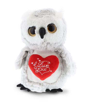 DolliBu I Love You Valentine Plush Big Eye Owl Bird - Cute Stuffed Animal with Red Heart and Name Personalization Gift for Valentines Day, Birthday