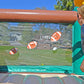 Island Hopper Heavy Duty Commercial Sports and Hops Bounce House