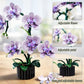 Purple Phalaenopsis Building Blocks Set,619PCS Orchid Model Kit,Birthday Gift Compatible with Lego Flowers for Adults Women Girls Boys Age 14+