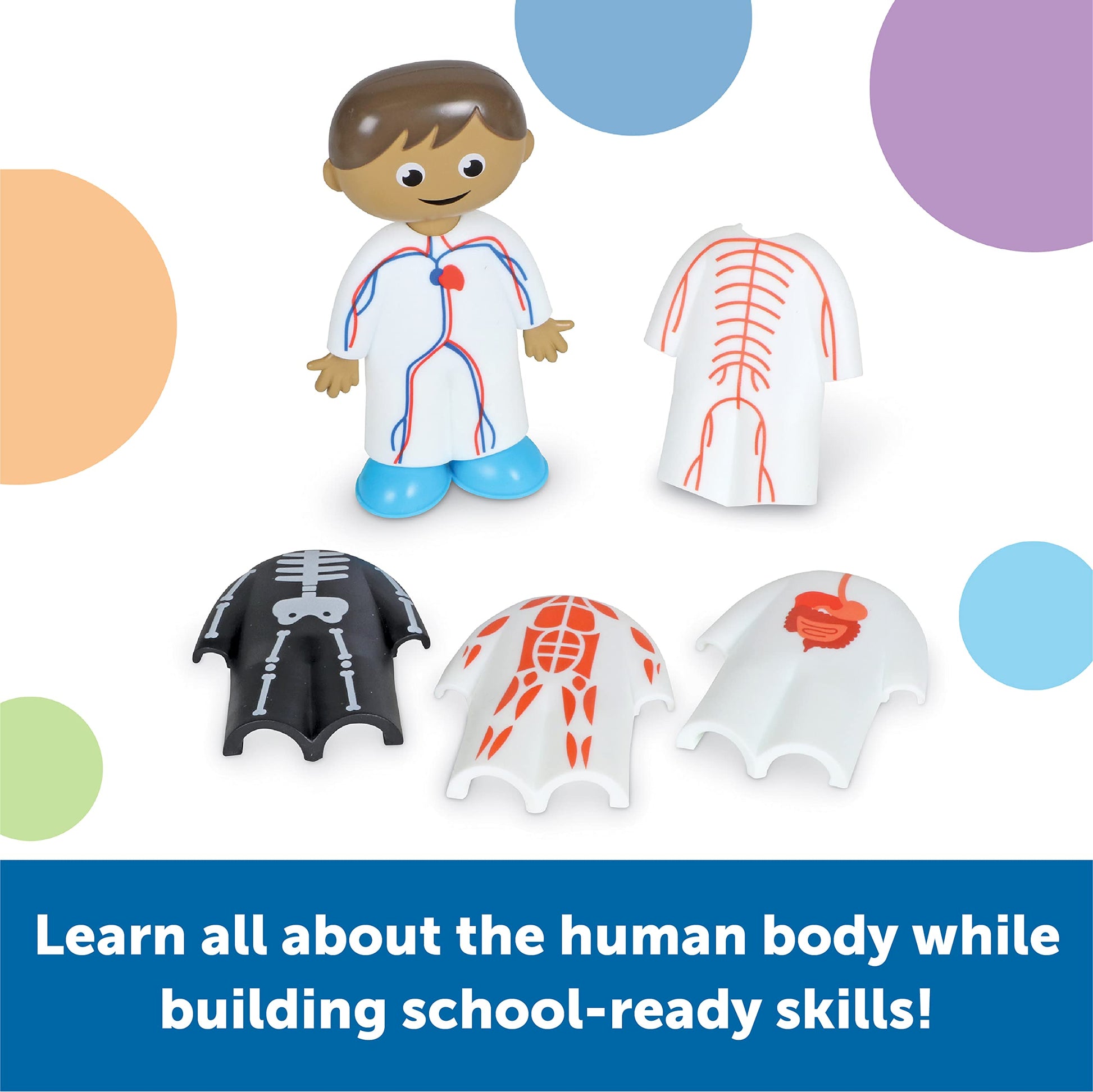 Learning Resources Skill Builders! Human Body Activity Set - Anatomy and Science Classroom Must Haves, STEM Study Tools, Back to School Kits