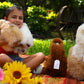AlpacaNext Alpaca Stuffed Animal Crafted in Fluffy Luxury Wool - Hypoallergenic & Ultra-Soft Toy Perfect for Cute Nursery Decor and a Huggable