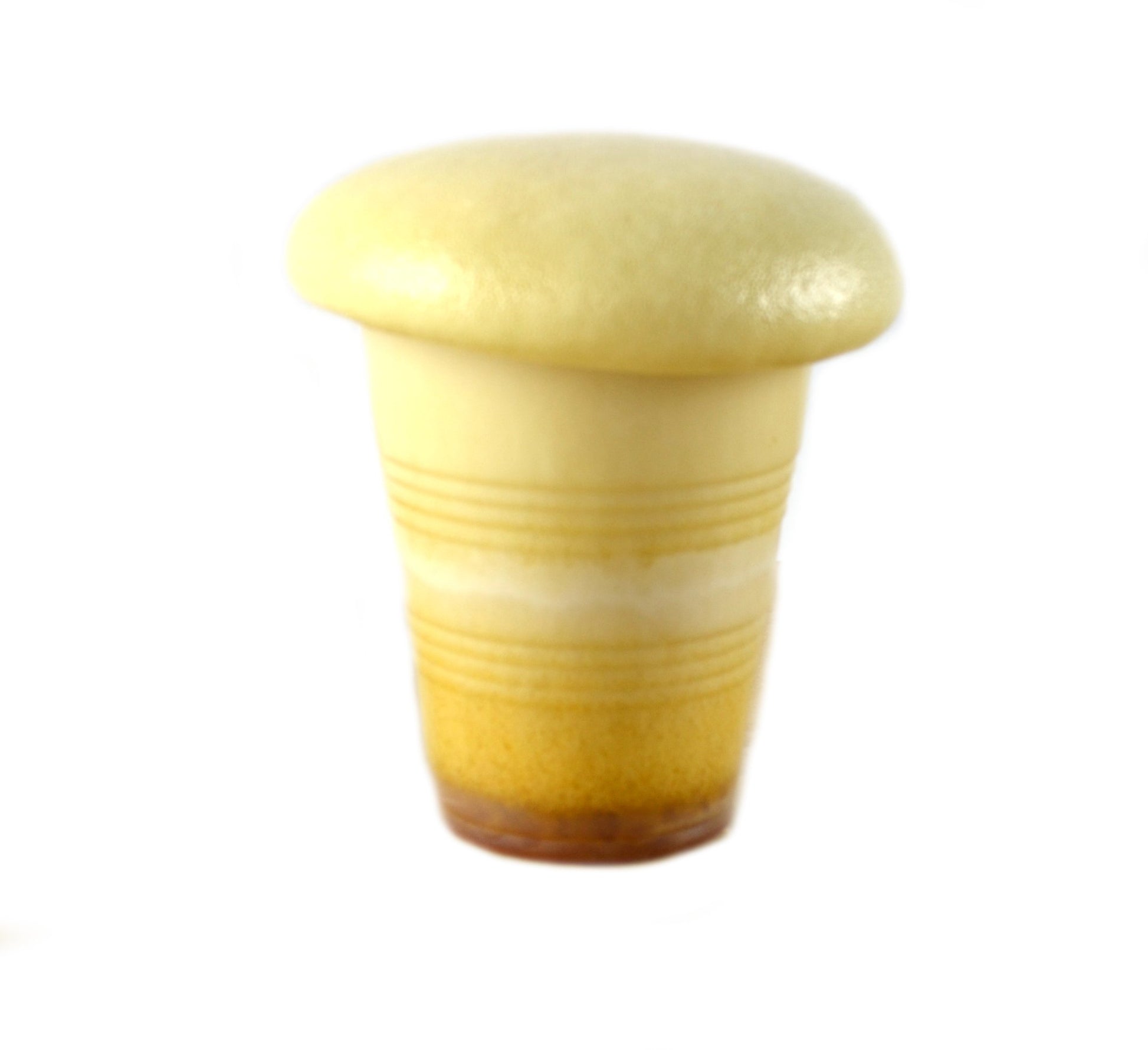 Innovating Science Polyurethane Foam Chemistry Demo Kit