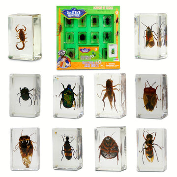 Geoworld 10 Insect Specimens Set - Real Beetles, Scorpions, Crickets in Resin with Magnifying Glass & Booklet - Great for Science Projects - Kids