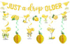 Just A Drop Older Gold Glitter Banner with Hanging Swirls Lemon Party Decorations Lemon Themed Party Decor Lemon Birthday Decorations