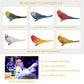 JOKFEICE Birds Figures - 6pcs Realistic ParrotToys Animal Figures Set - Simulated Plastic Animal Models Toys Kids Educational Toys for Boys and Girls