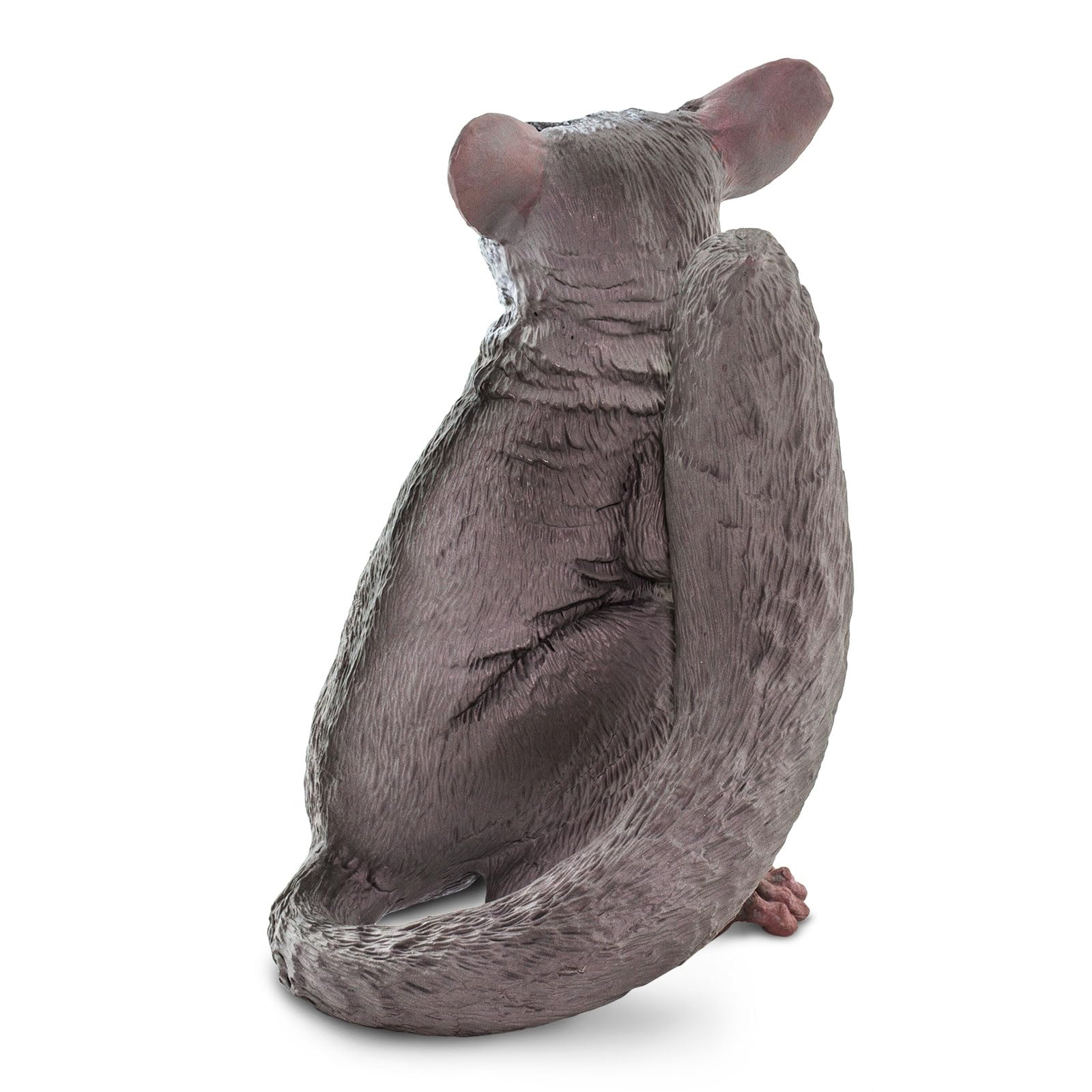Safari Ltd. Bush Baby (Galagos) Figurine - Detailed 3.5" Plastic Model Figure - Fun Educational African Wildlife Play Toy for Boys, Girls & Kids Ages