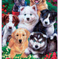 MasterPieces 300 Piece EZ Grip Jigsaw Puzzle - Fluffy Fuzzballs - 18"x24"