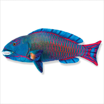Real Planet 11" Parrot Fish Stuffed Animal - Realistic Plush Fishing Toys, Coral Reef Toys, Educational Stuffed Animals, Ocean Plush Sea Animals