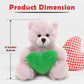 Plushland Pink Teddy Bear with Customized Message on Embroidered Heart, Stuffed Animal Plush Toys- Valentine Personalized Gift for Girls, Boys