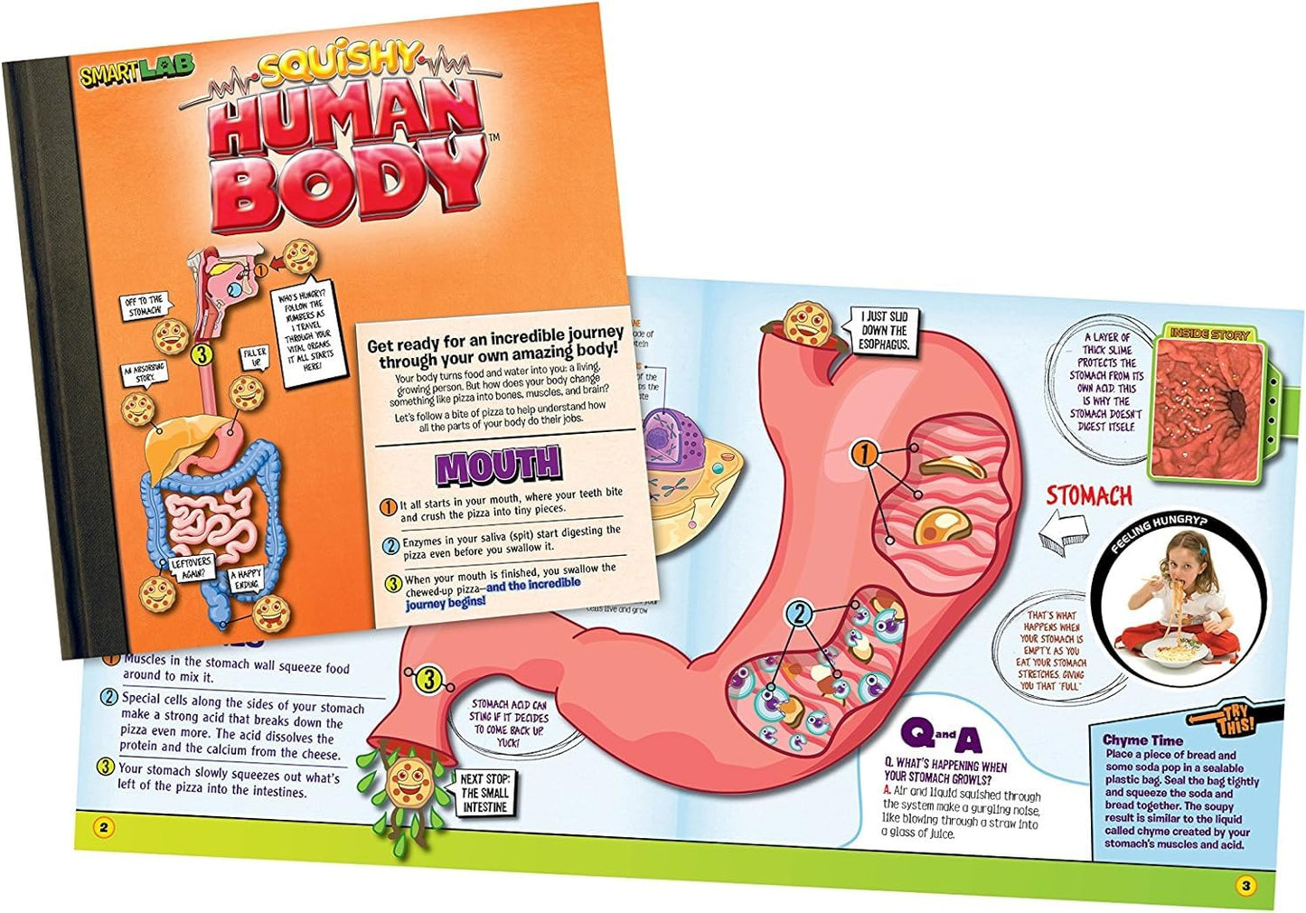SMARTLAB Toys Squishy Human Body with 21 Removable Body Parts with Anatomy Book