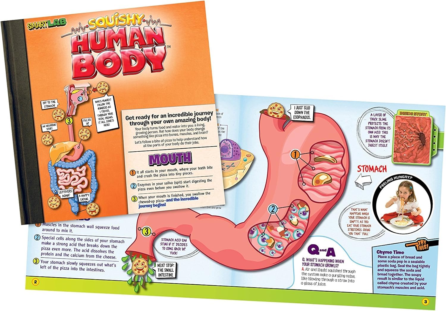 SMARTLAB Toys Squishy Human Body with 21 Removable Body Parts with Anatomy Book