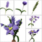 Swpohrat 210 Pieces Craft Pipe Cleaners Flower Set,Chenille Stem Pipecleaner Kit for Craft Tulip Lily Bouquet Making,DIY Craft Projects and Holiday