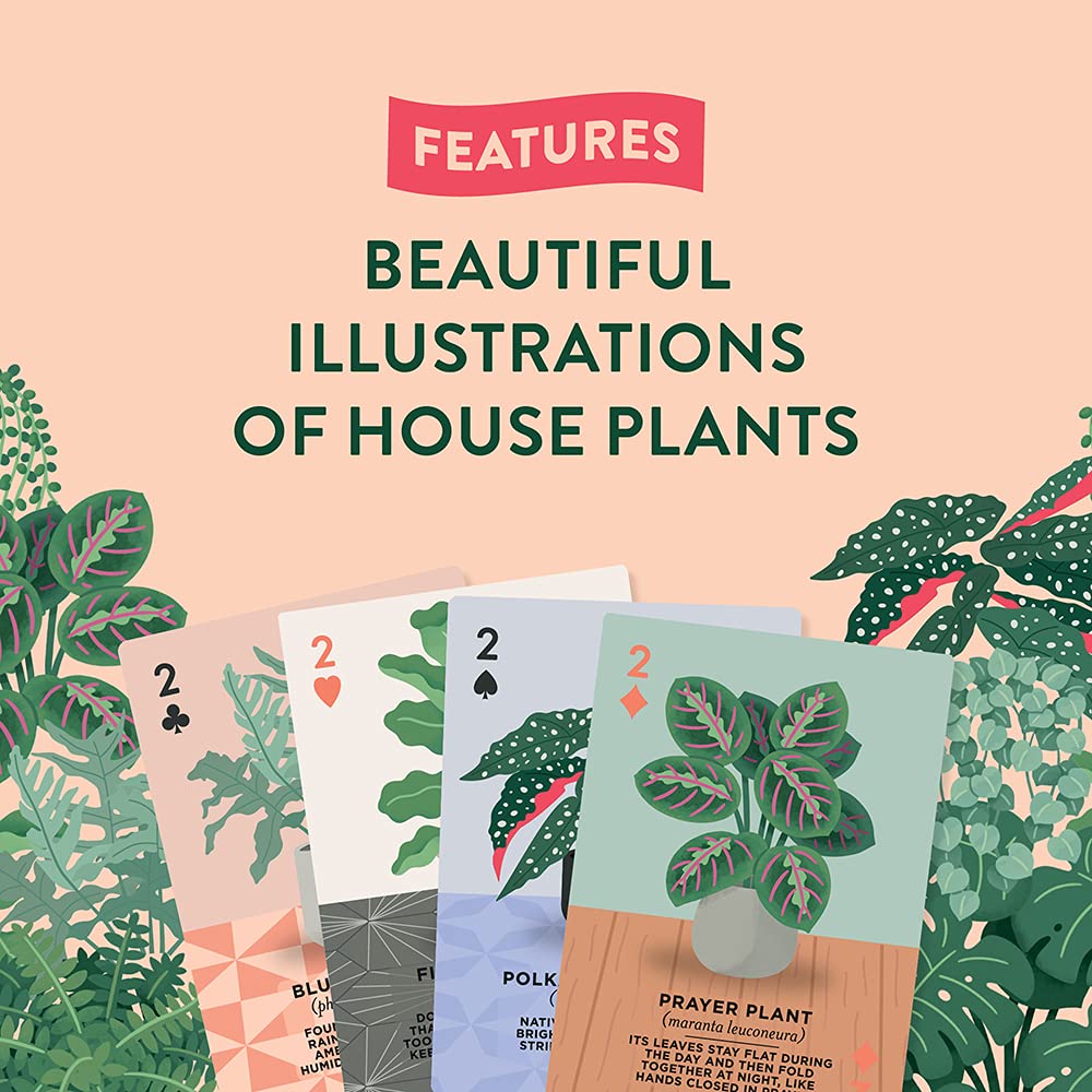 Ridley's Games: Houseplants Playing Cards| 52 Unique Hand-Illustrated Donut Playing Cards - Includes a Durable Storage Tin for Easy Travel - Makes