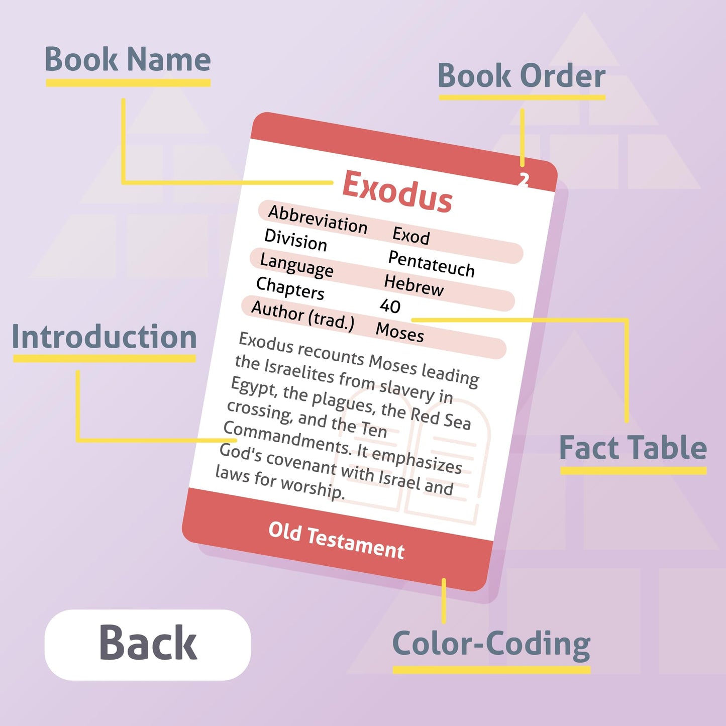 CARDDIA | Books of The Bible Flash Cards | Woodcut Illustrations, Color-Coded Divisions & Key Facts | Perfect for Bible Study, New Christians