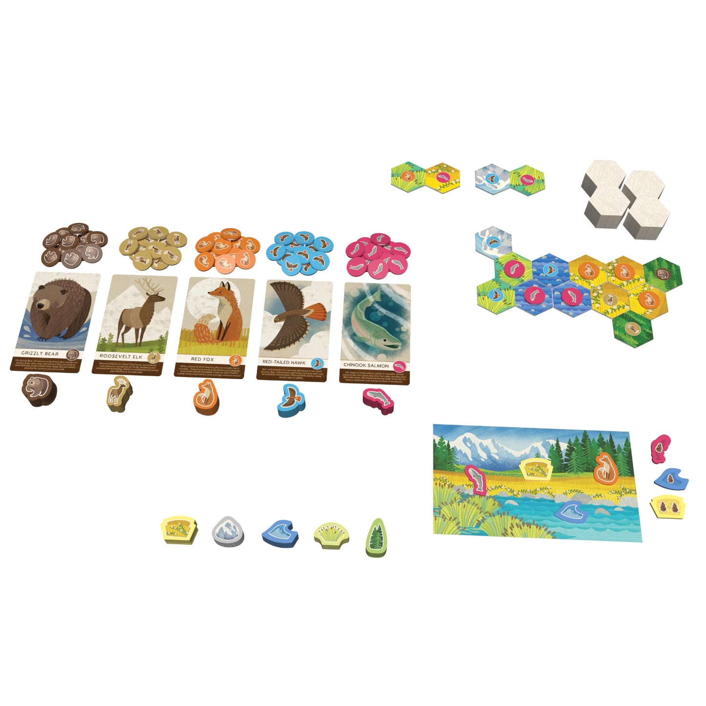 AEG & Flatout Games | Cascadia Junior - Based on The Award-Winning Board Game, Cascadia | 2-4 Players | Ages 6+ | Easy to Learn | Quick to Play |